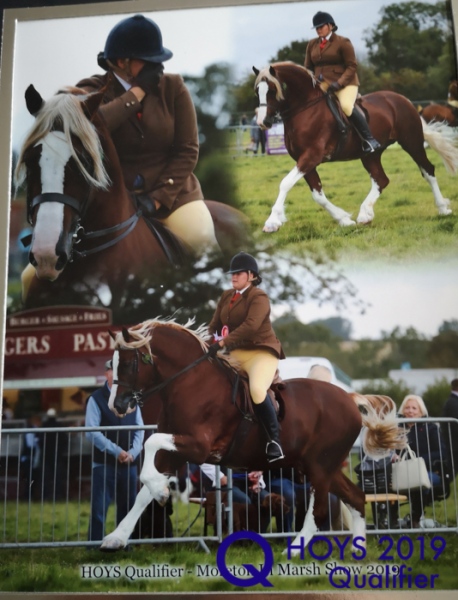 Heather comley and Renvarg Royal Flush