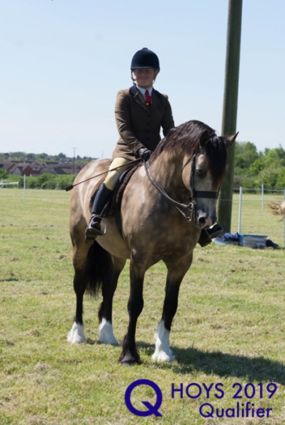Sarah parker and Brynithon paragon