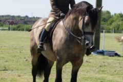 Sarah parker and Brynithon paragon