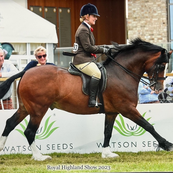 Dannii-Thexton-and-Llandderfel-Prince-Richard