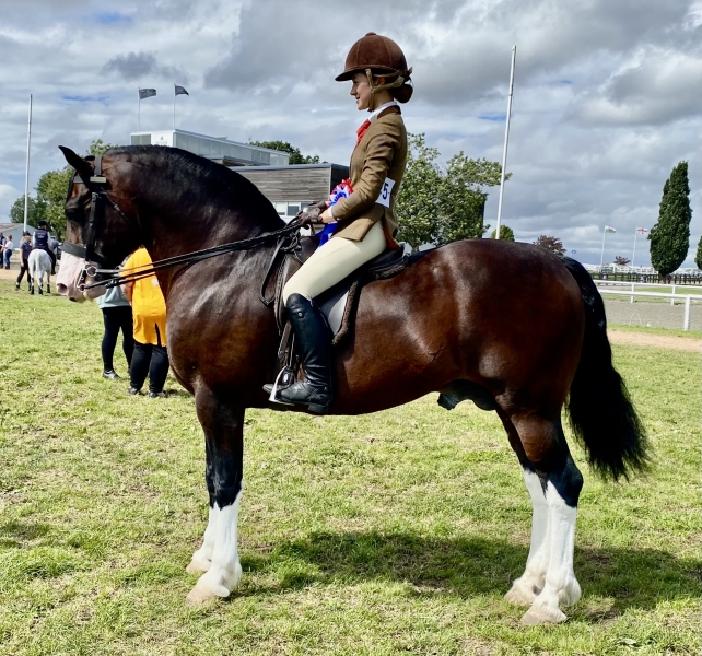 Harriet-Glenn-and-Larnleighs-Dictator