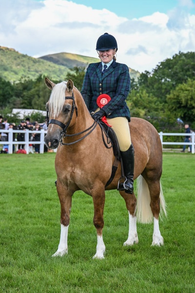 Kelly-Morris-and-Abbeyvale-Higher-Love