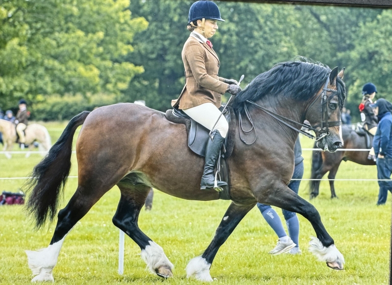 Katie-Parry-Evans-andTrevallion-Culhwch
