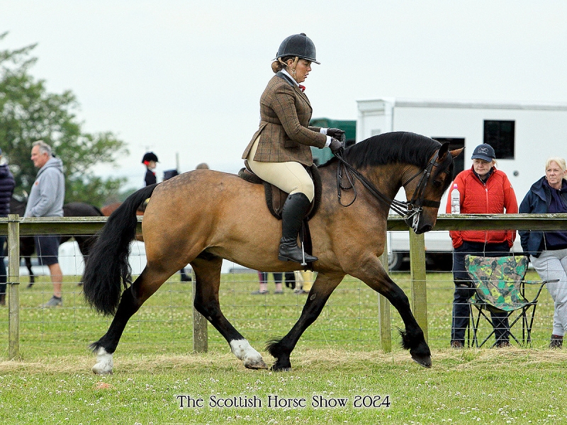 Sarah-Burkhill-and-Taiforgan-Cracker-Jack