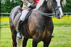 Mathew-Lawrenceand-Llanarth-Ellis