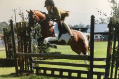 Georgia James Horse:Pony Chester