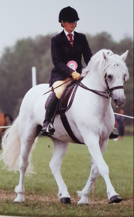 Katie Novell and Castle Admiral