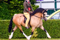 Chloe Taylor and Leyeswick Casino Jack