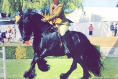 Christina gough and Lunesdale dixie