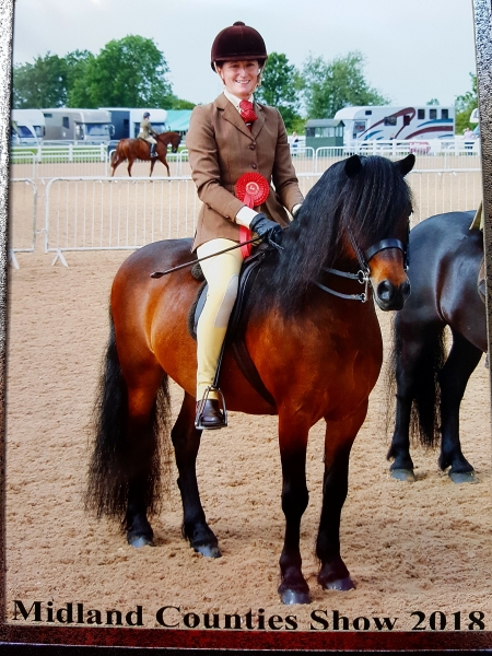 Zara Johnstone evans and Pumphill fandango