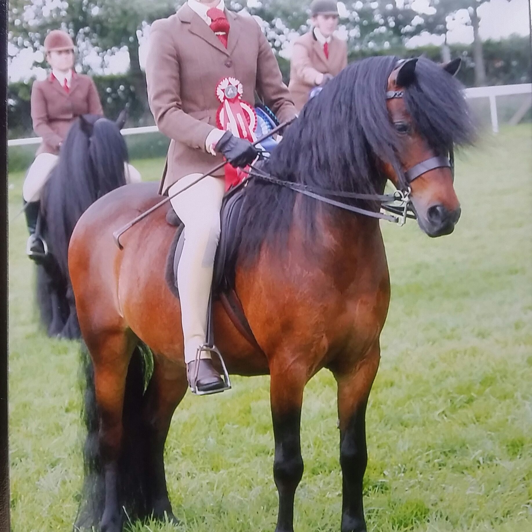 Pumphill fandango and zara johnstone evans