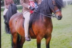 Pumphill fandango and zara johnstone evans