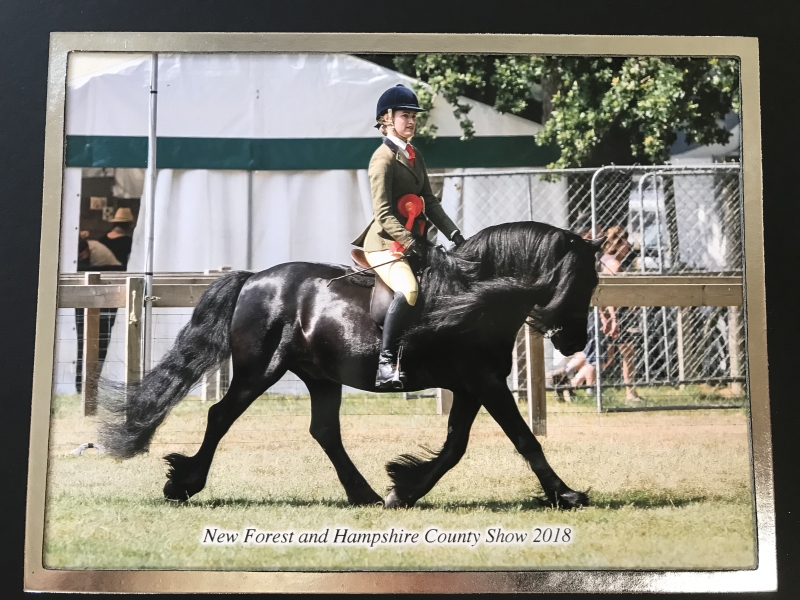 Brittany Varney and Banksgate Tamlin