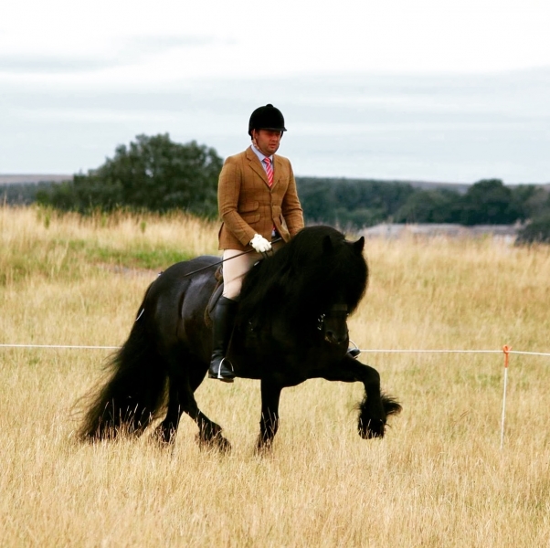 Joe Watson and Westwick Duke