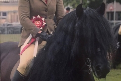 Murthwaite Oliver rider Lucinda Stockley