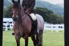 Shelbie McCulloch and Harvey's Magic Moment
