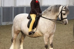 Uphill Freddie fox