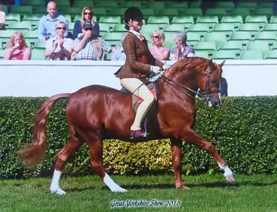 Musberry Consortium and Katie Brown