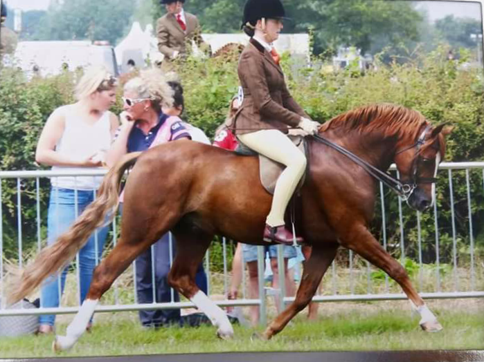 Katie Brown and Musbury Consortium