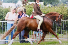 Katie Brown and Musbury Consortium