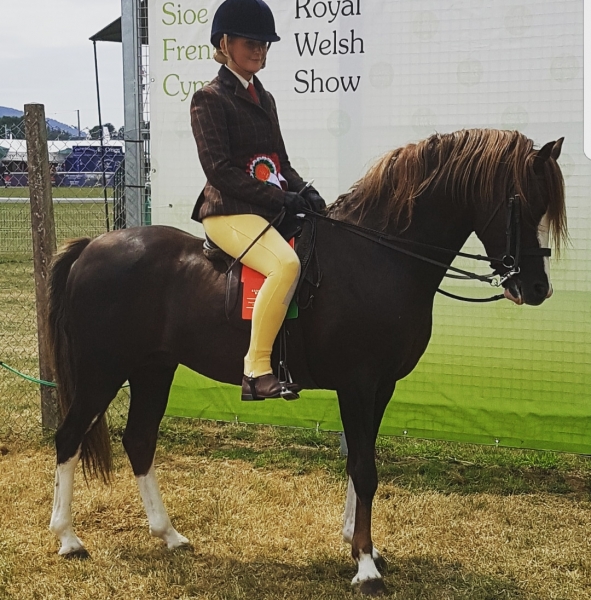 Eiry Bonner and Moelview Prince Charming