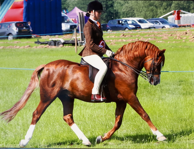 Katie Brown and Musbury Consortium