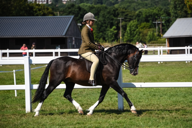 Lauren Brill and Eyarth Braveheart