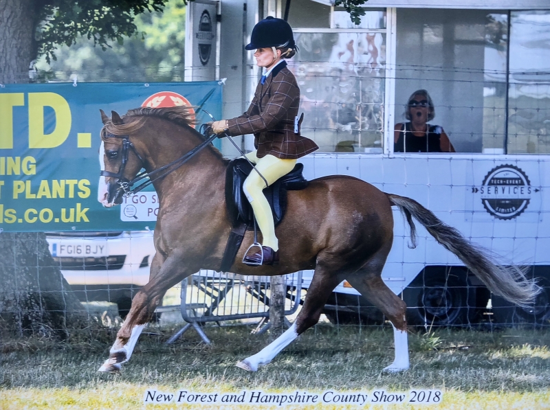 Marina Greenaway and Birkinbrook Stylish lad