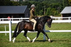Lauren Brill and Eyarth Braveheart