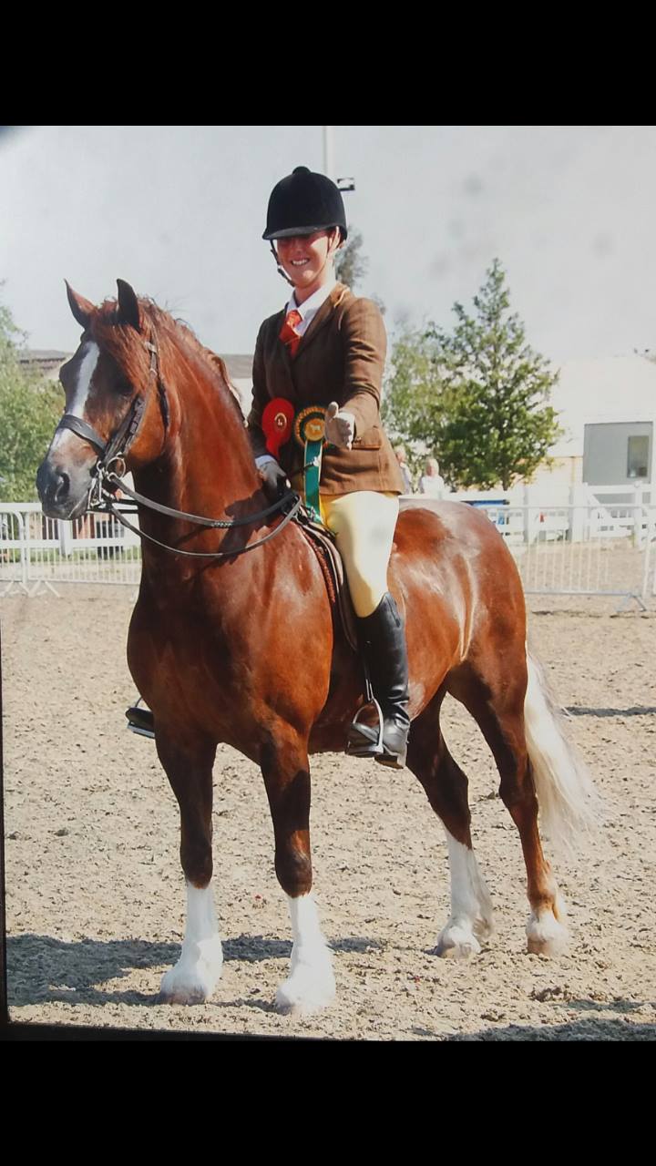 Tonlyn Tigger Two and by Katie Brown