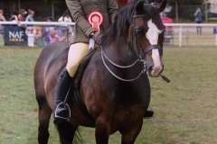 Rivervalley Roger and Jessica Matthews