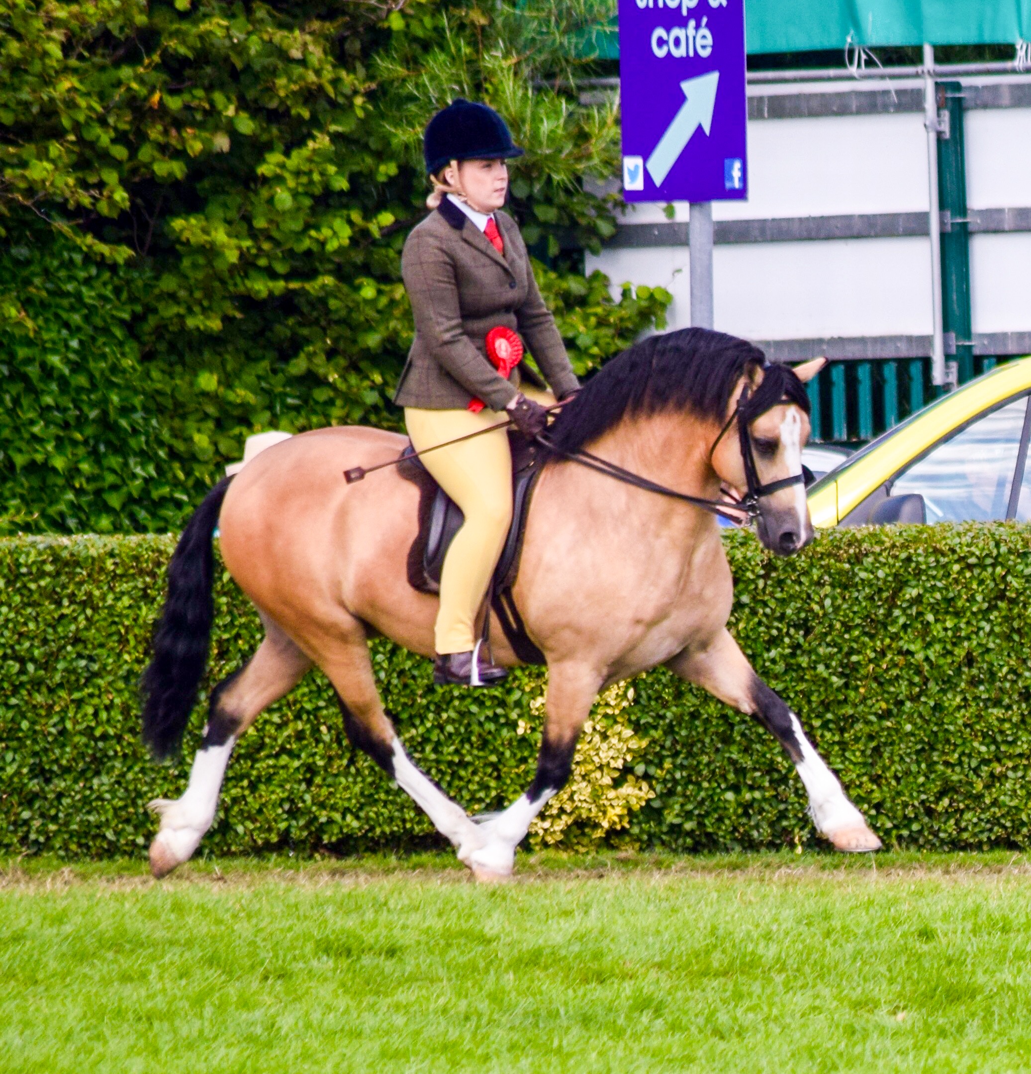 Chloe taylor and Leyeswick Casino Jack