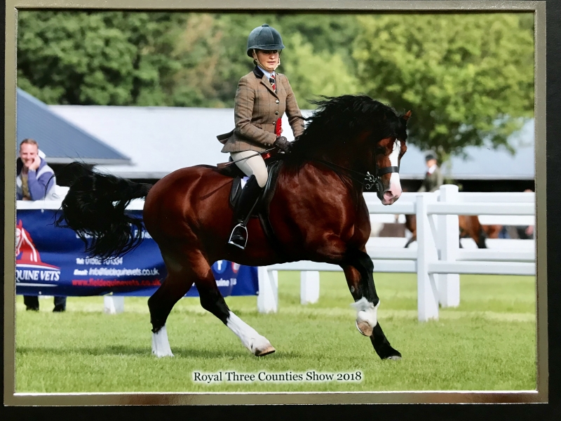 Jodie Haywood and Lantau Supernova