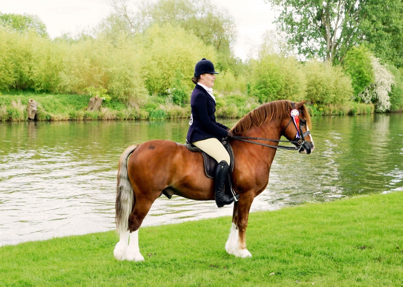 Rebecca Penny and Lynuck Yhe Showman