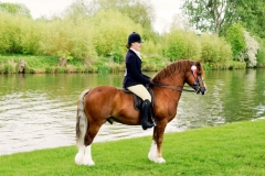 Rebecca Penny and Lynuck Yhe Showman