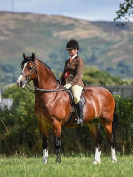 Katie Brown Hand Willgar Imperial Prince
