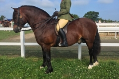 Claire Evans and Northwick Notorious
