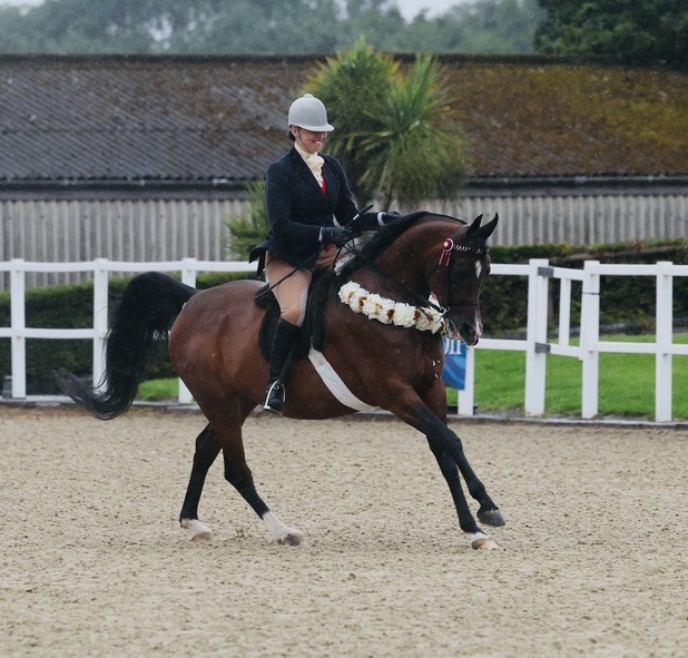 Sian-Warman-and-Saphiire