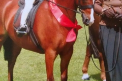 Littlebriars Horatio and Madison Maguire