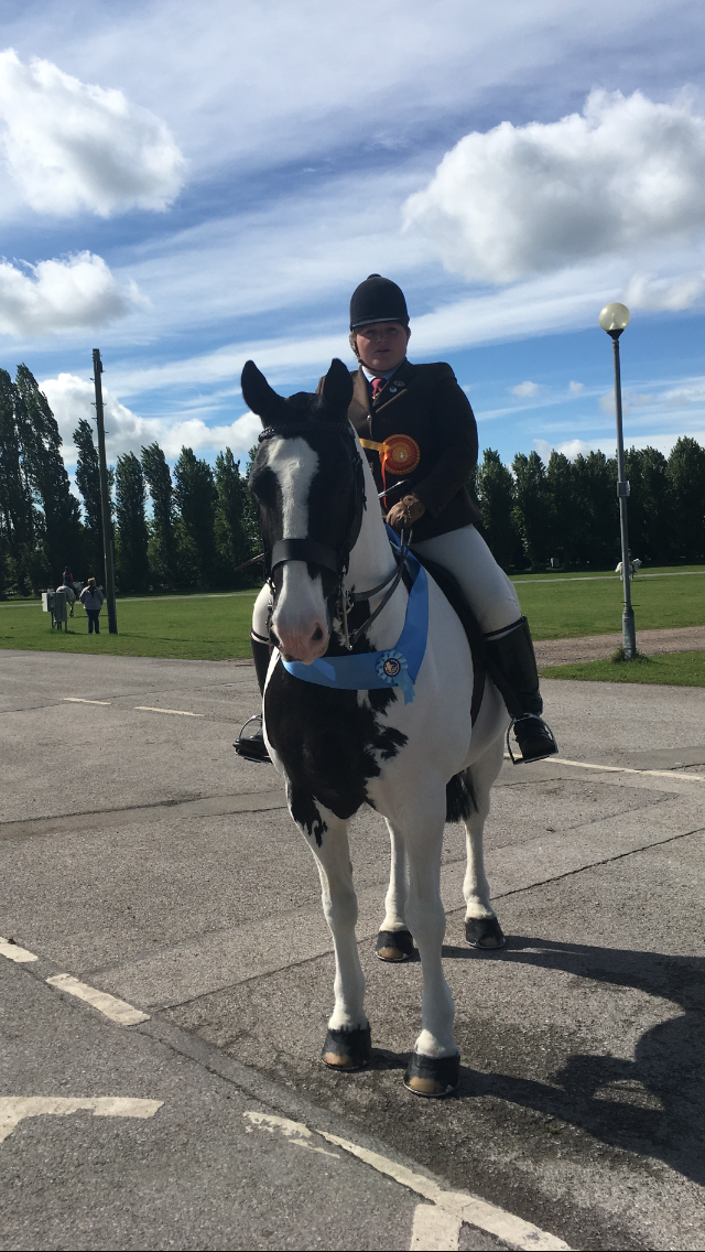 Lady Hollie Victoria scott and Harvey vi
