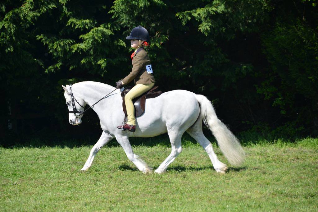 Earlsmeadow Kara's Adam and Lillie Windsor-horne