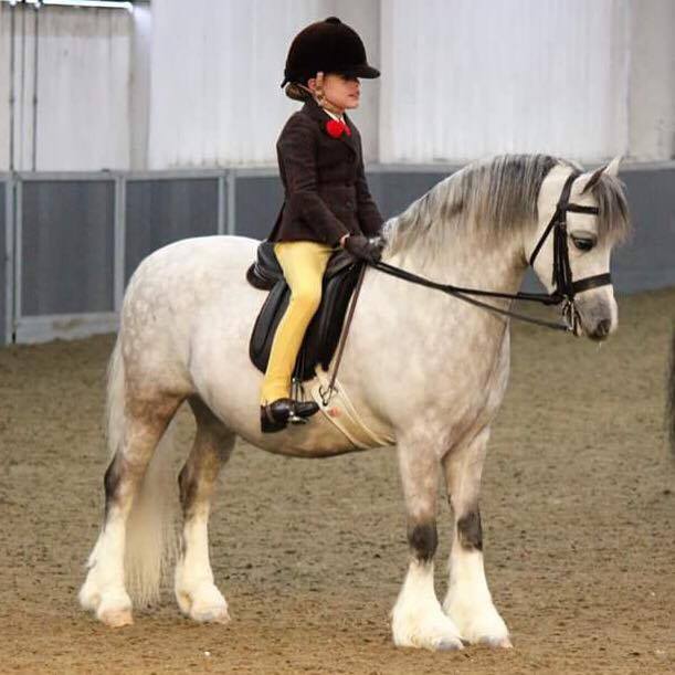 Uphill Freddie fox and Lilli Ella Aungier
