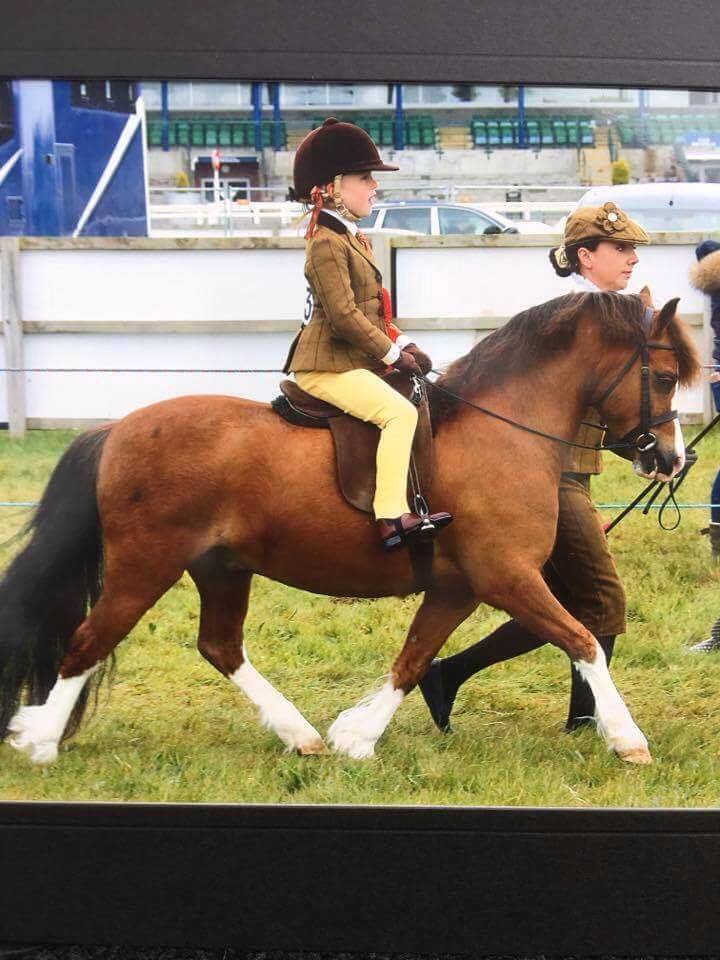 Waitwith Santana ridden by Grace Cannon