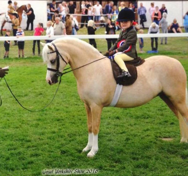 Woodend Marigold & Lola Carabine