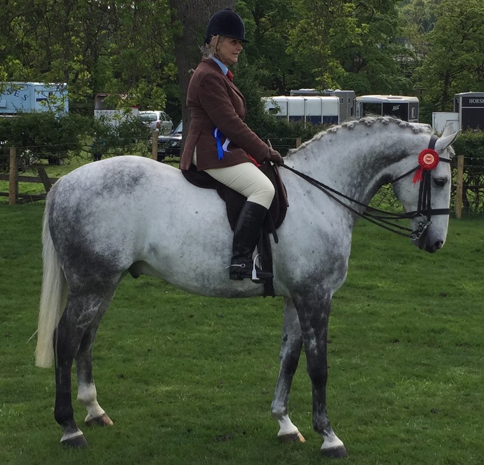 Glenda Gosling rider Faraon De la Diligence