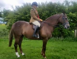 Bardwell Royal Appointment and Korrie Lindley-Harden