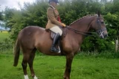 Bardwell Royal Appointment and Korrie Lindley-Harden