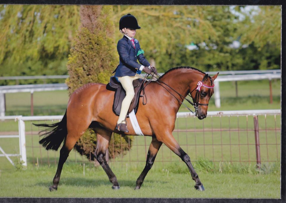 James Read and Broadgrove Showman