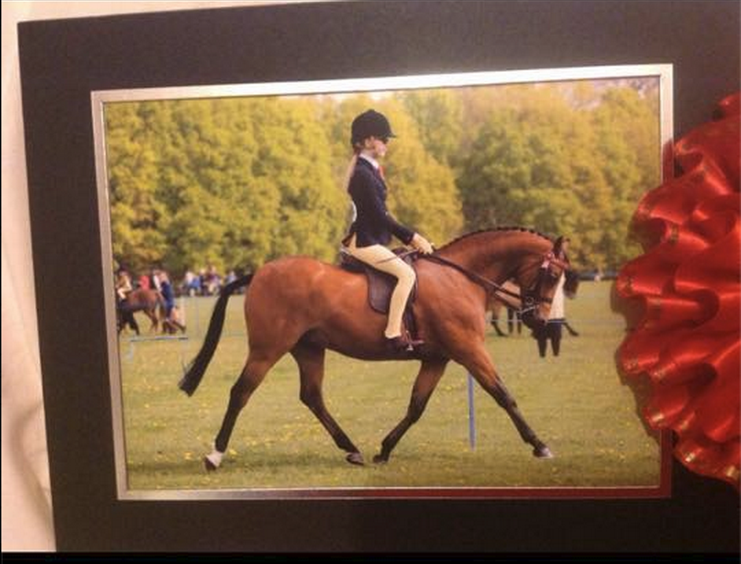 Rotherwood royal flight and Freya Cade