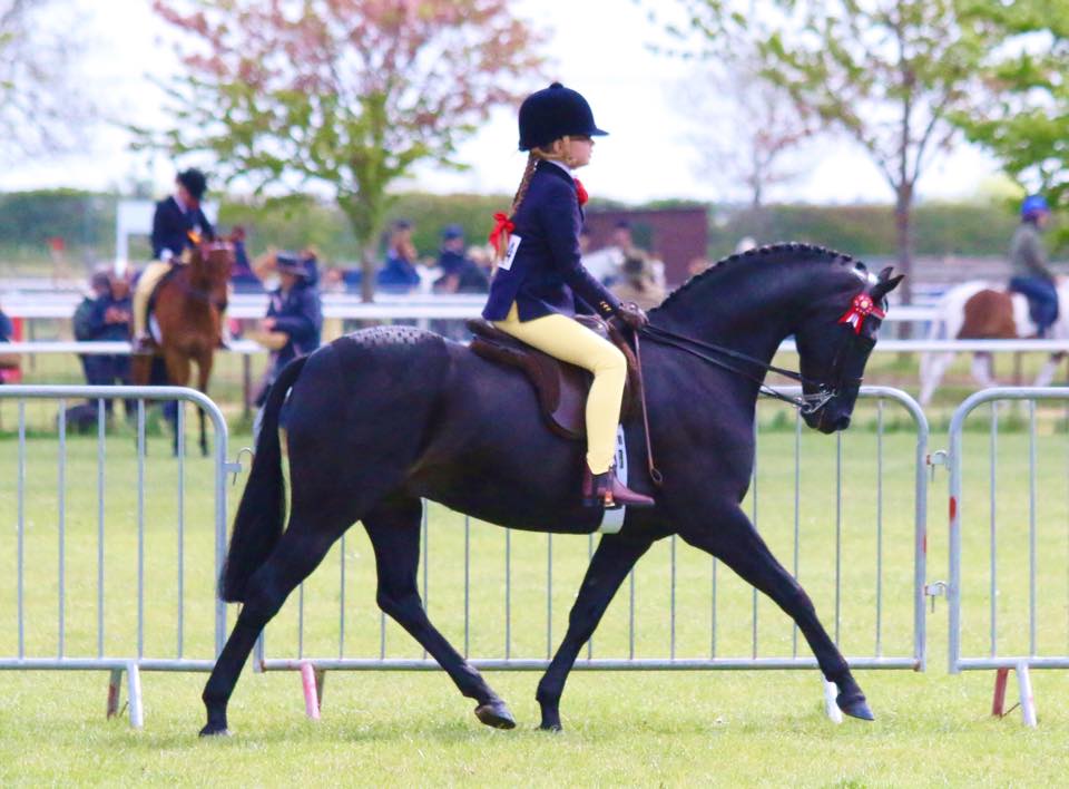 Tabitha Wood and Archwood Romeo Gigle